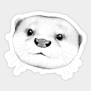 Asian Small Clawed Otter Face Sticker